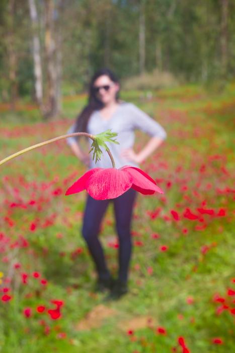 Nature Outdoors Flower