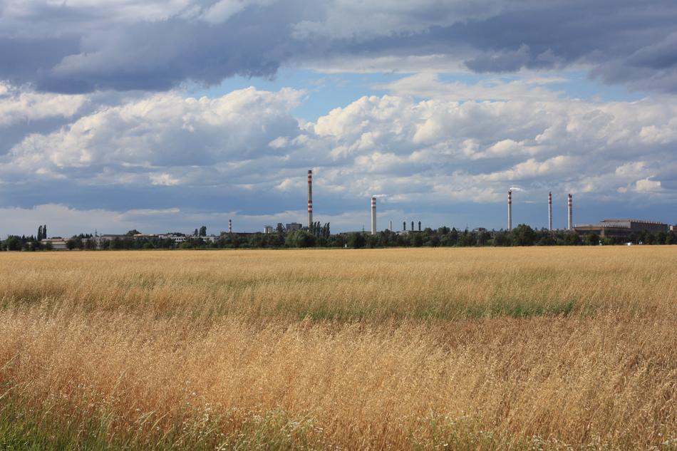 Landscape Field