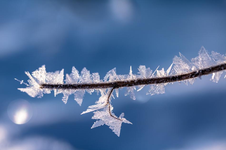 Eiskristalle Frost Frozen