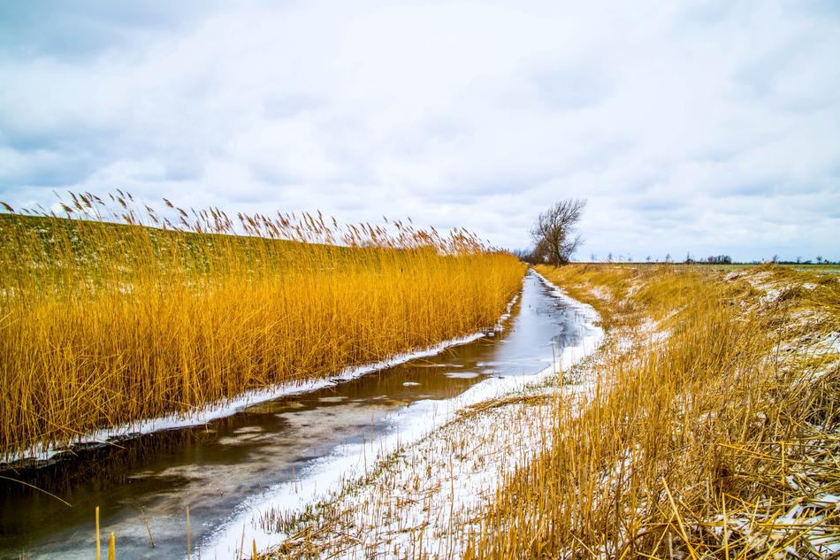 Nature Landscape Waters