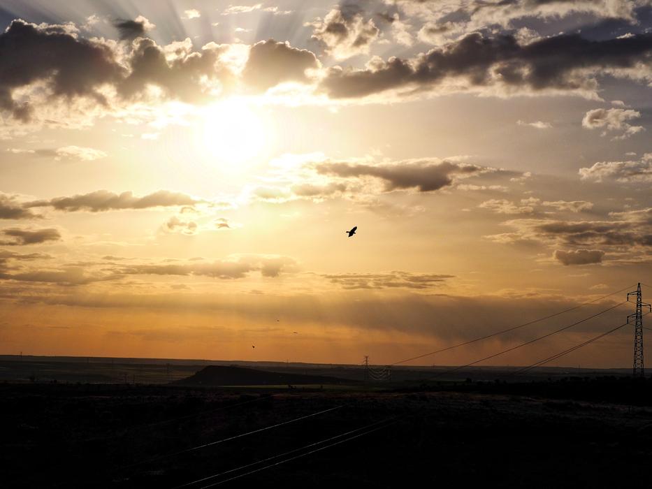 Calm Landscape Sunset