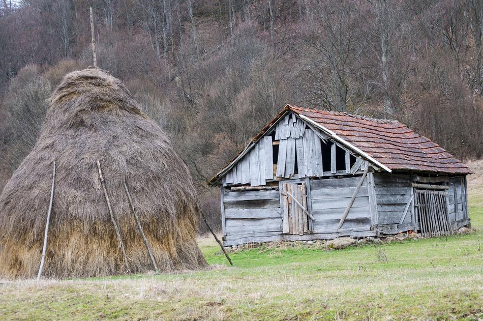 Barn House Farm