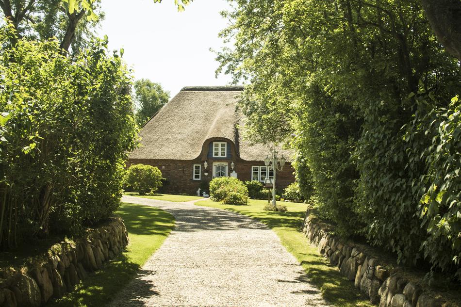 Thatched Cottage Summer North Sea