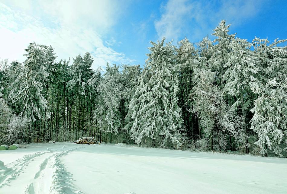 Snow Winter Cold