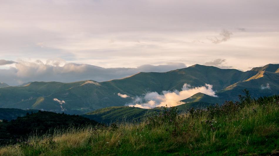 green mountain landscape with trees