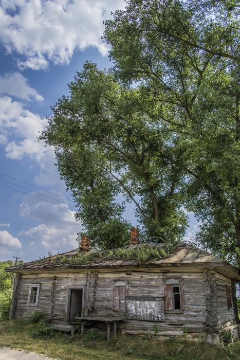 House Old Wood