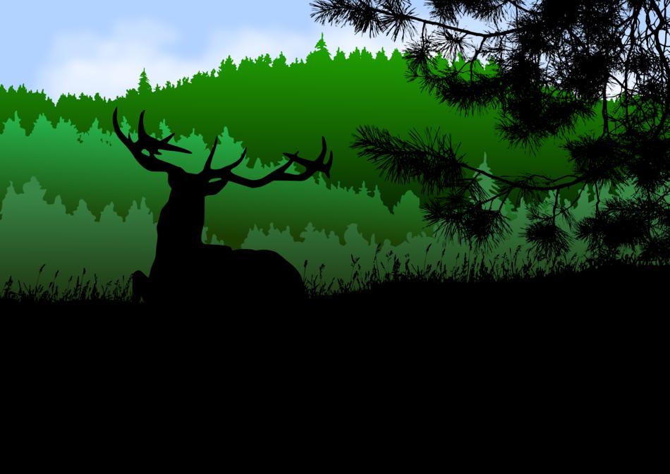 hirsch landscape mountains forest