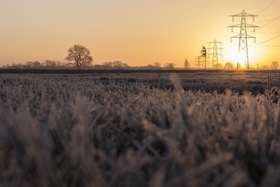 wheat field in sunlight tower