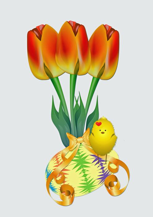 three potted tulips