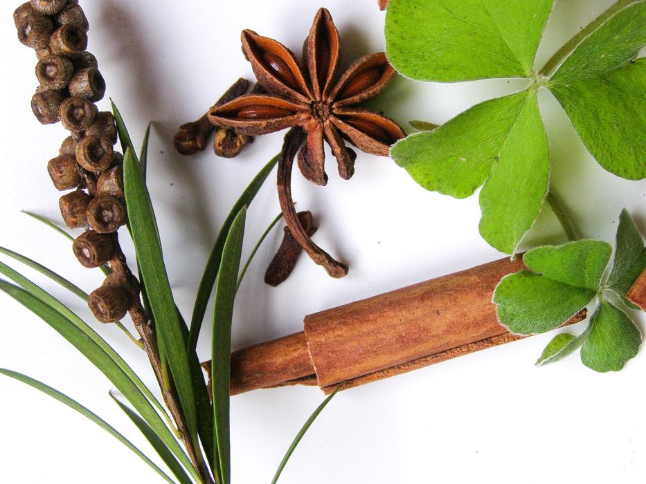Autumn Fall Shamrock