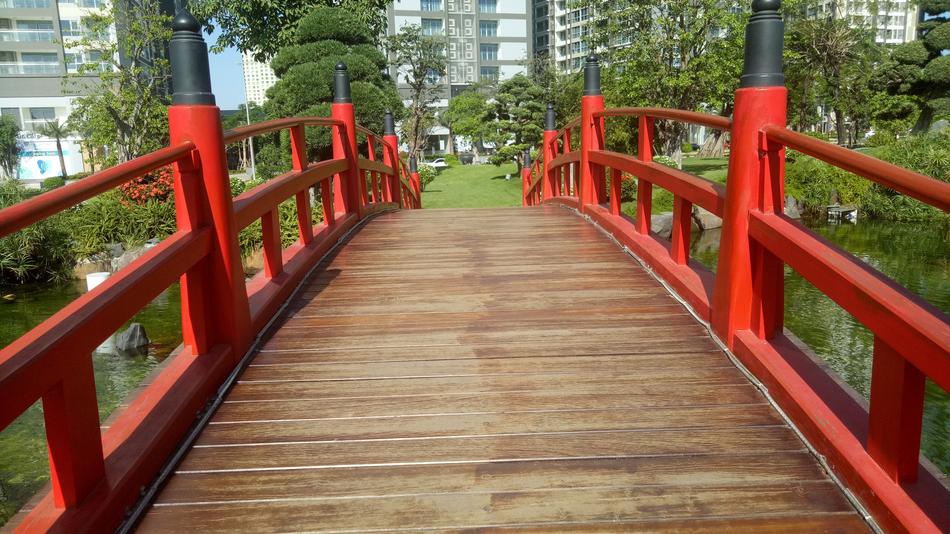 Wood Nature Bridge