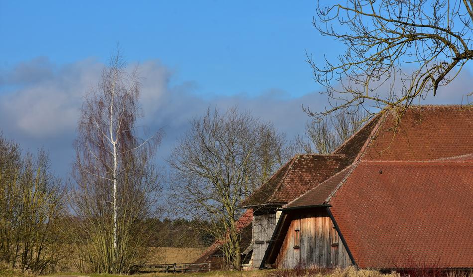 Landscape Farm Building