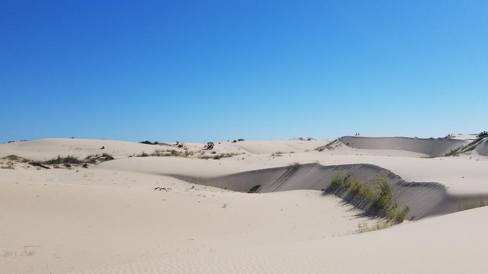 Desert Texas Monahans