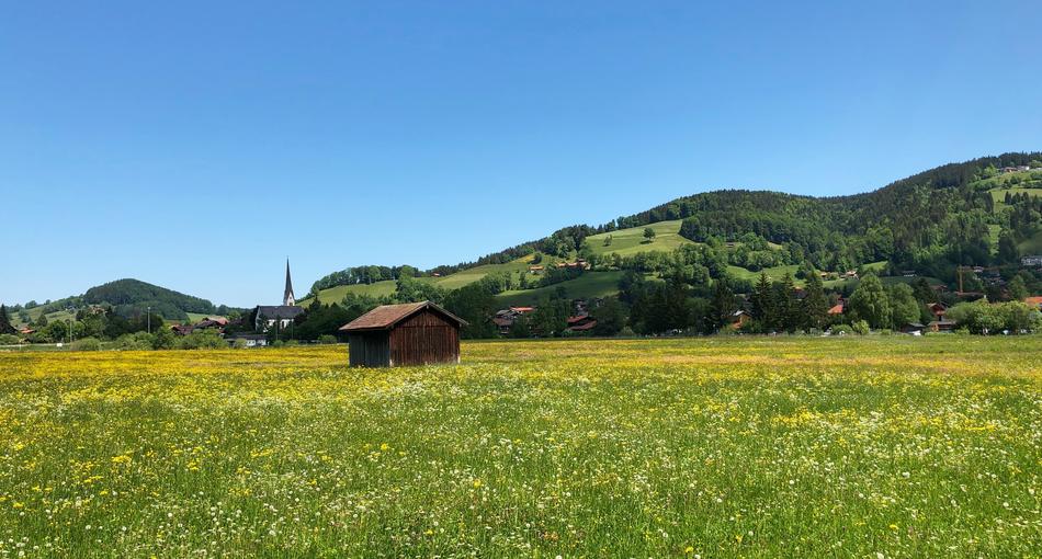 Meadow Nature Landscape