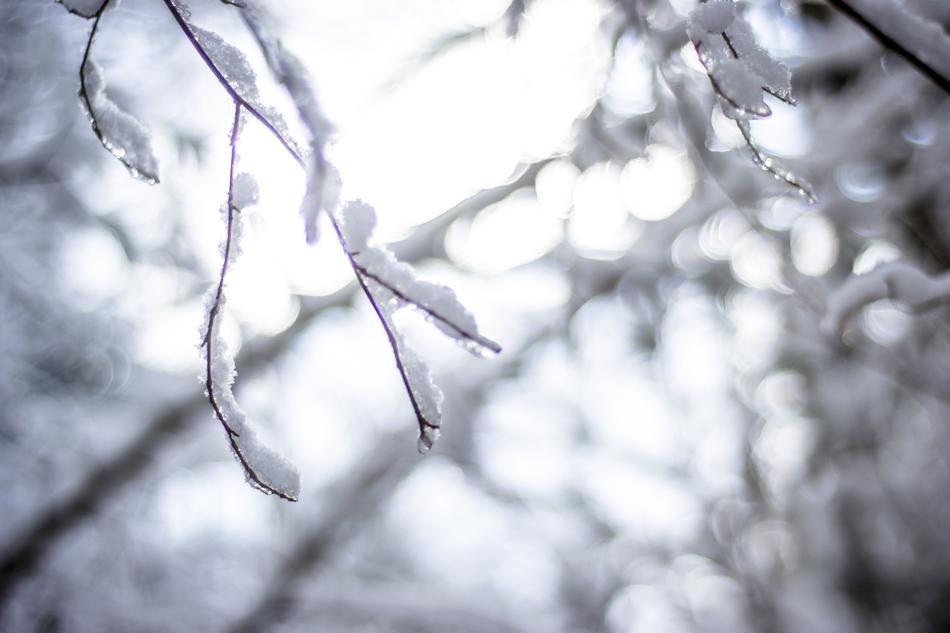 Snow Light Winter