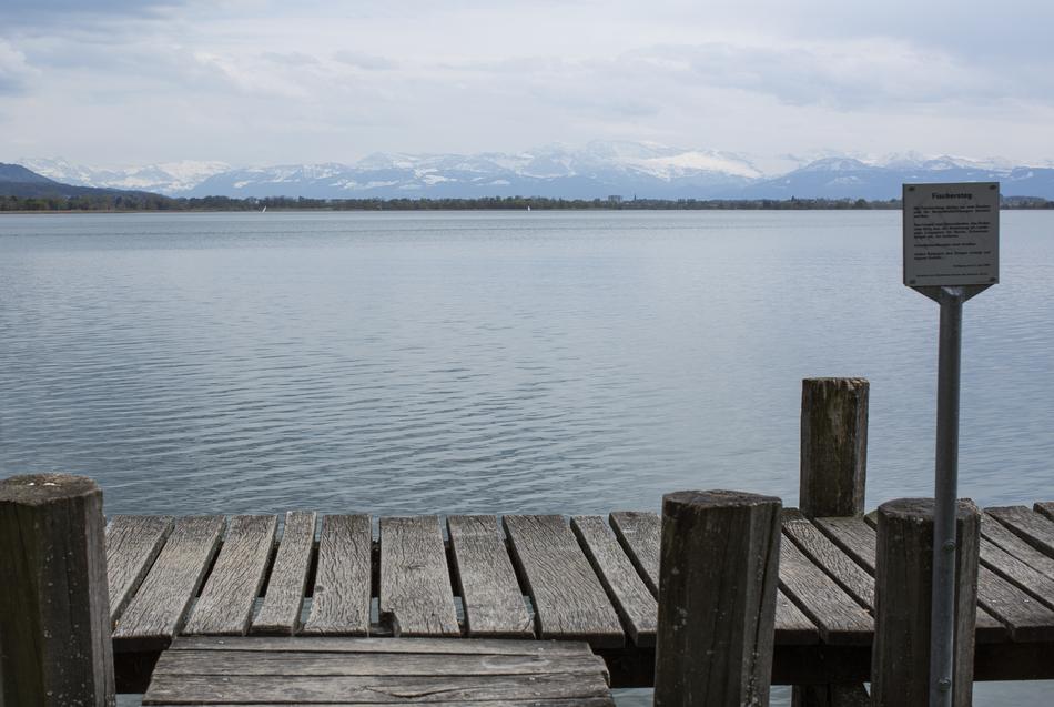 Lake Nature Pfäffikersee