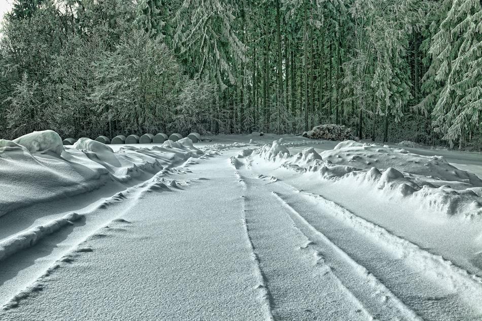 Snow Winter Nature