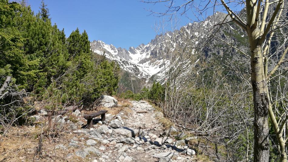 stone road leading to the mountains