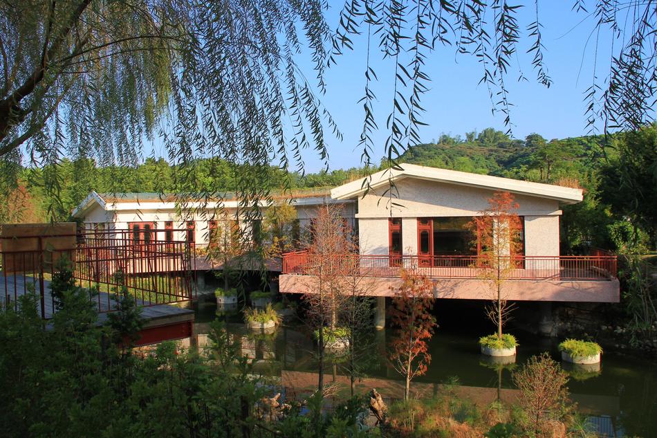 green trees and a restaurant on the water