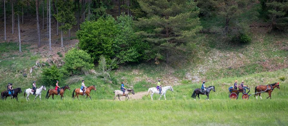 Pentecost Horses Ride