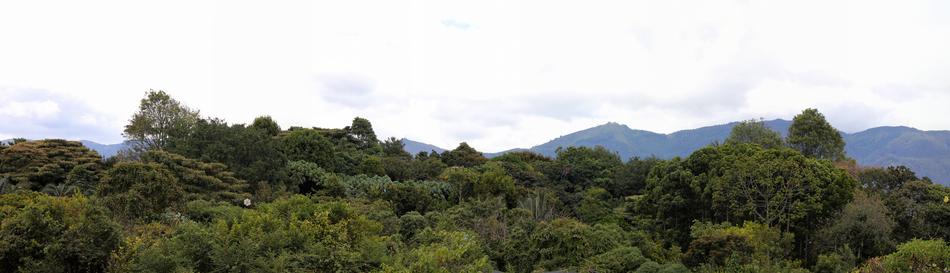 Bogotá Panorama Botanical Garden