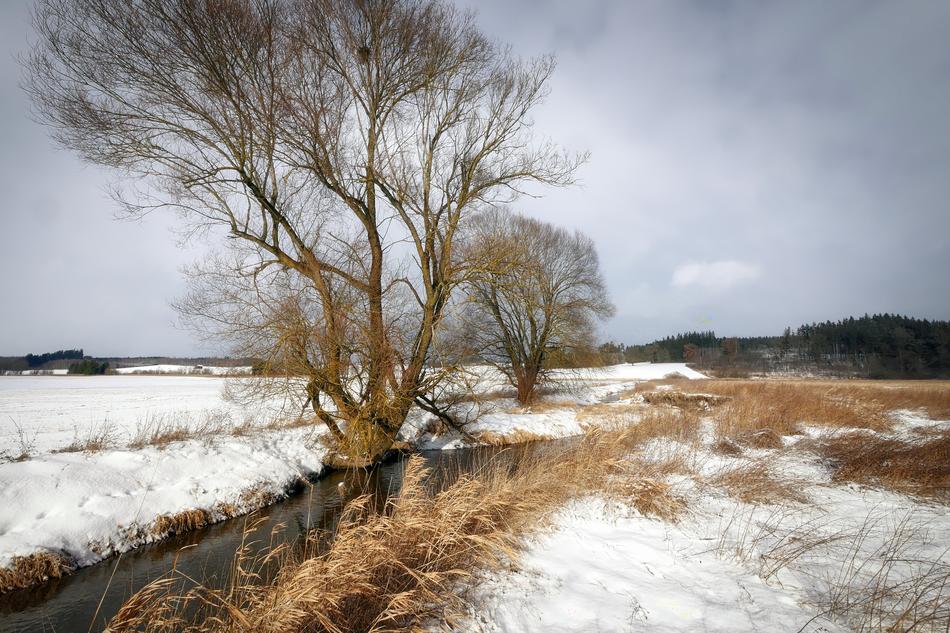 Nature Landscape Winter