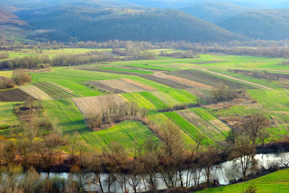 Landscape Field Agriculture