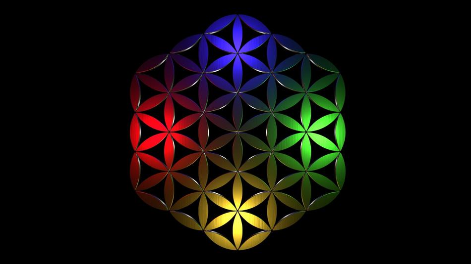 flower life sacred geometry