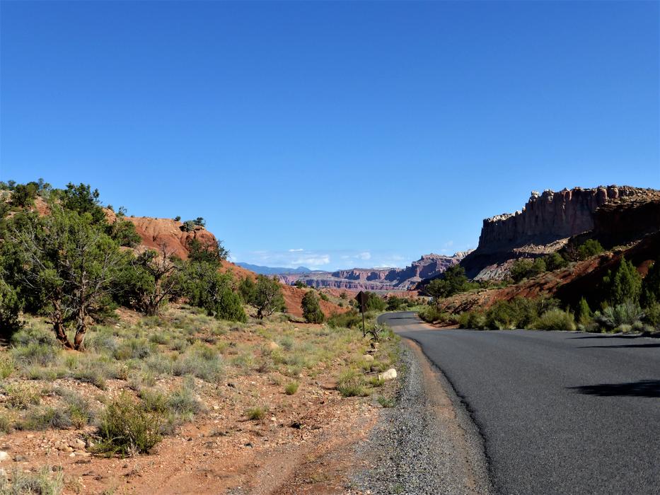 roadside landscape