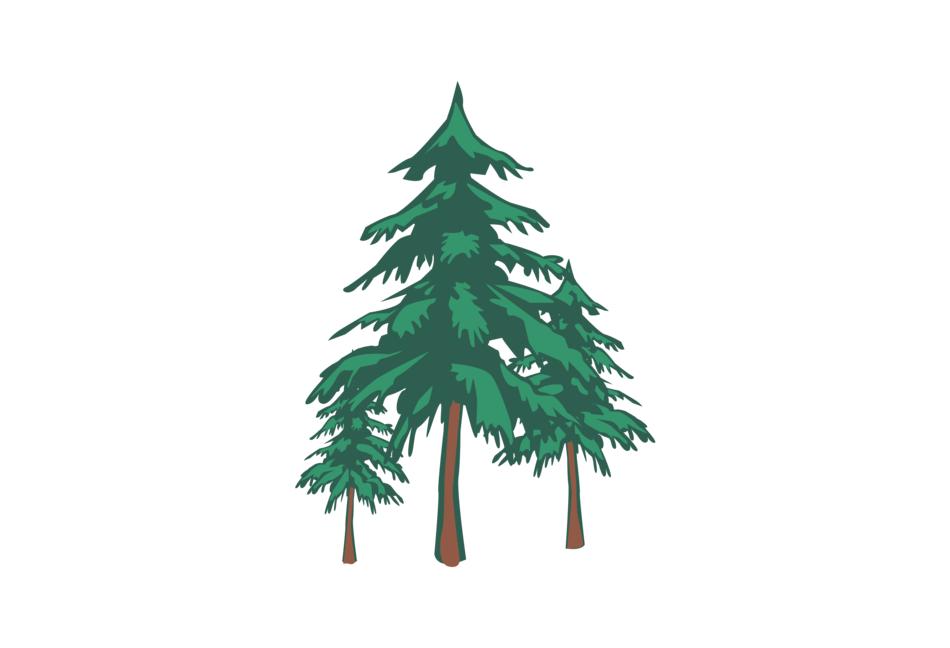 natural tree forest nature