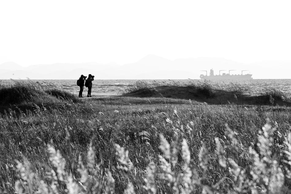 happy couple in a wheat field