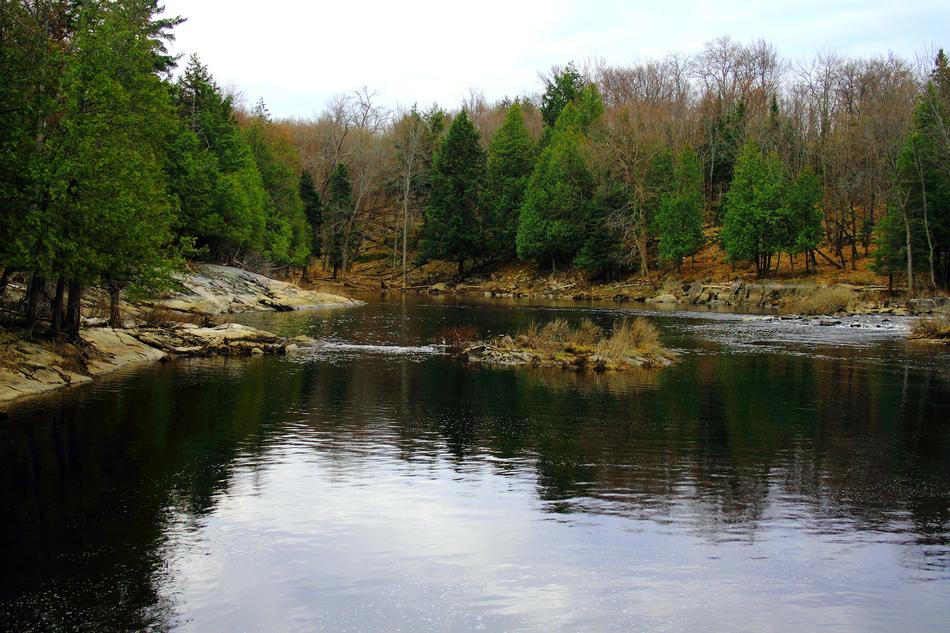Water Nature River