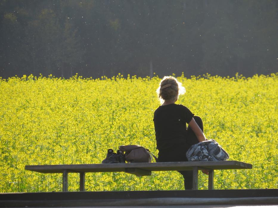 Landscape People Outdoors