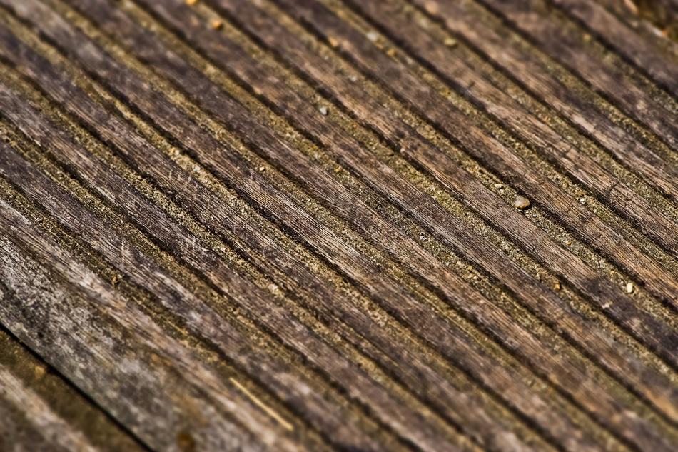 Away Wood Nature