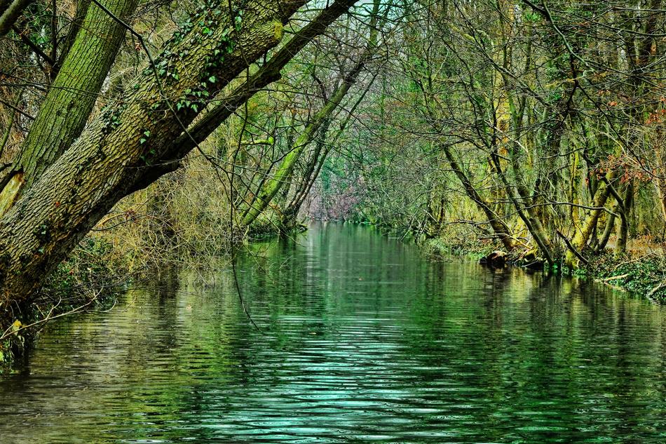 Nature Waters River