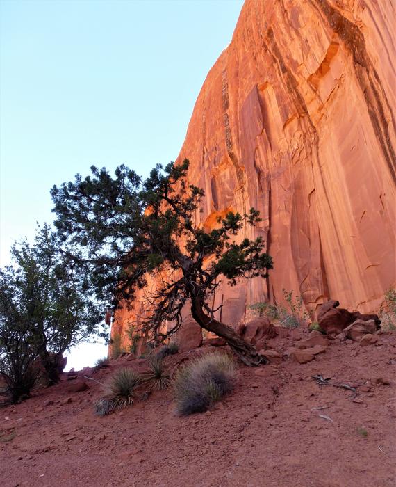 Usa Nature Travel