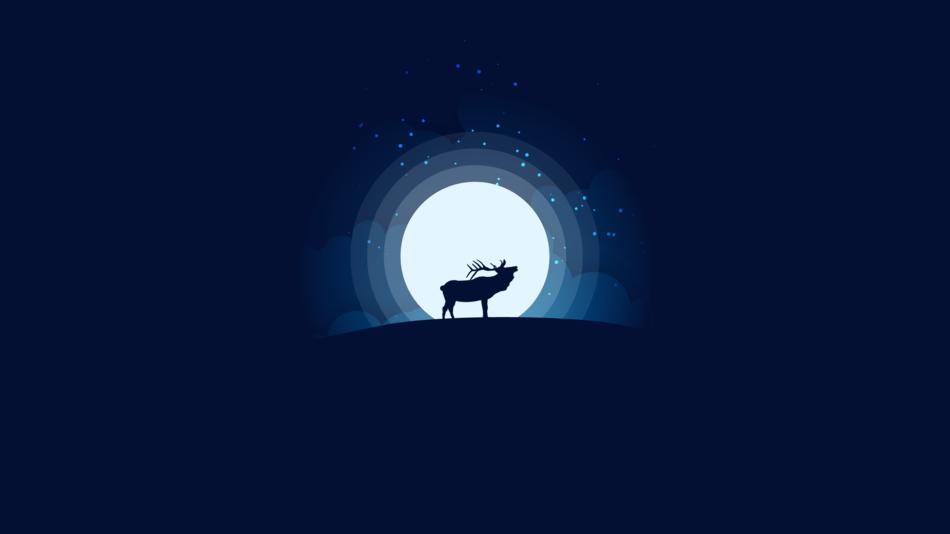 moon hirsch wild nature antler
