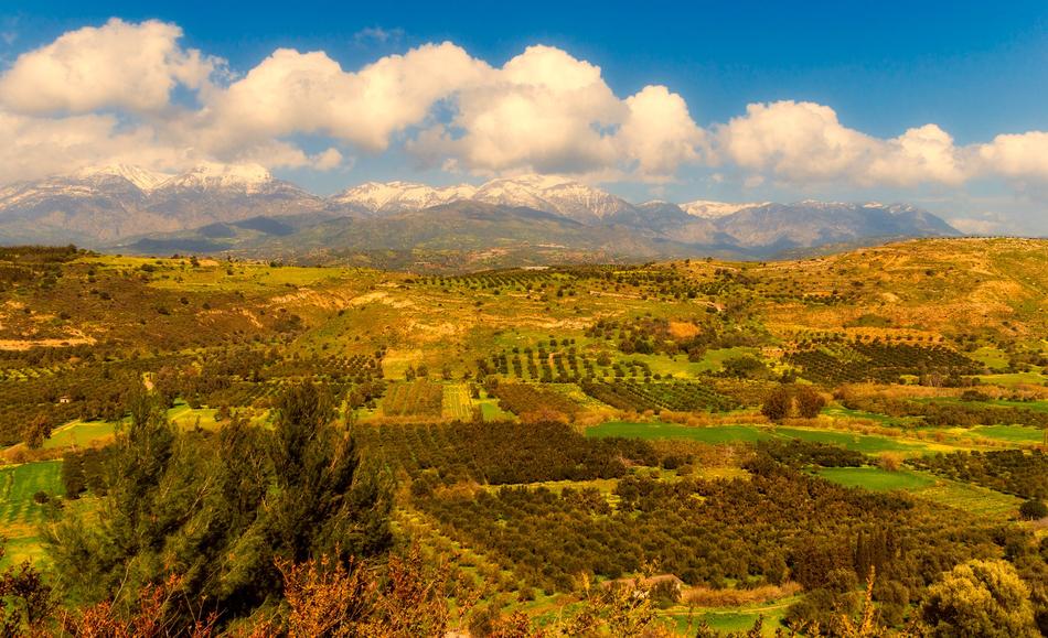 Landscape Nature Panoramic