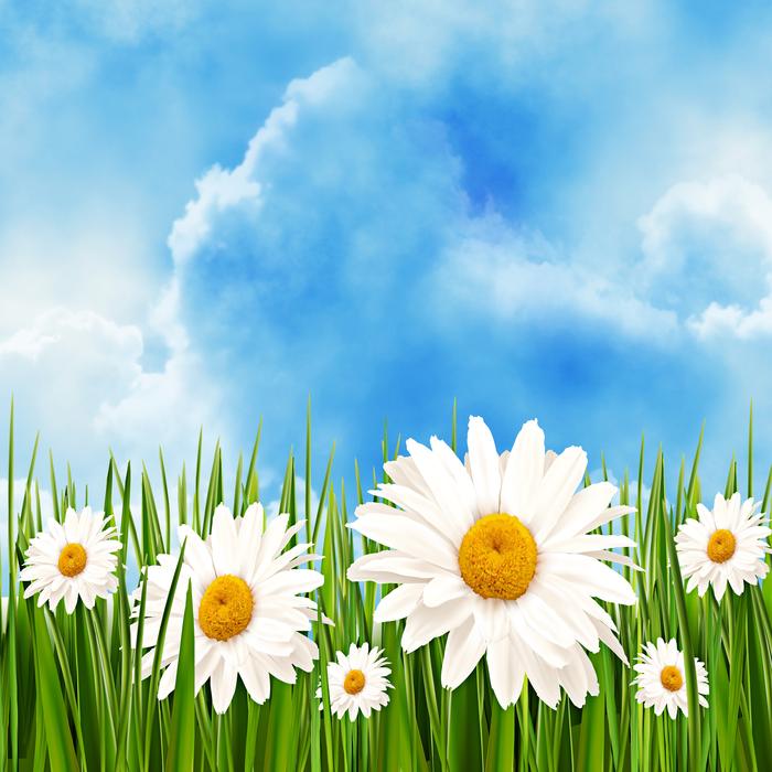 Nature Margaritas Sky