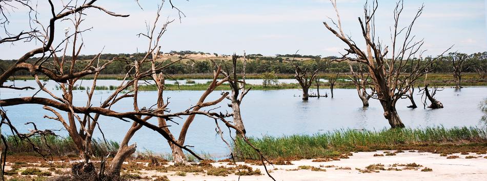 Lake Nature Water