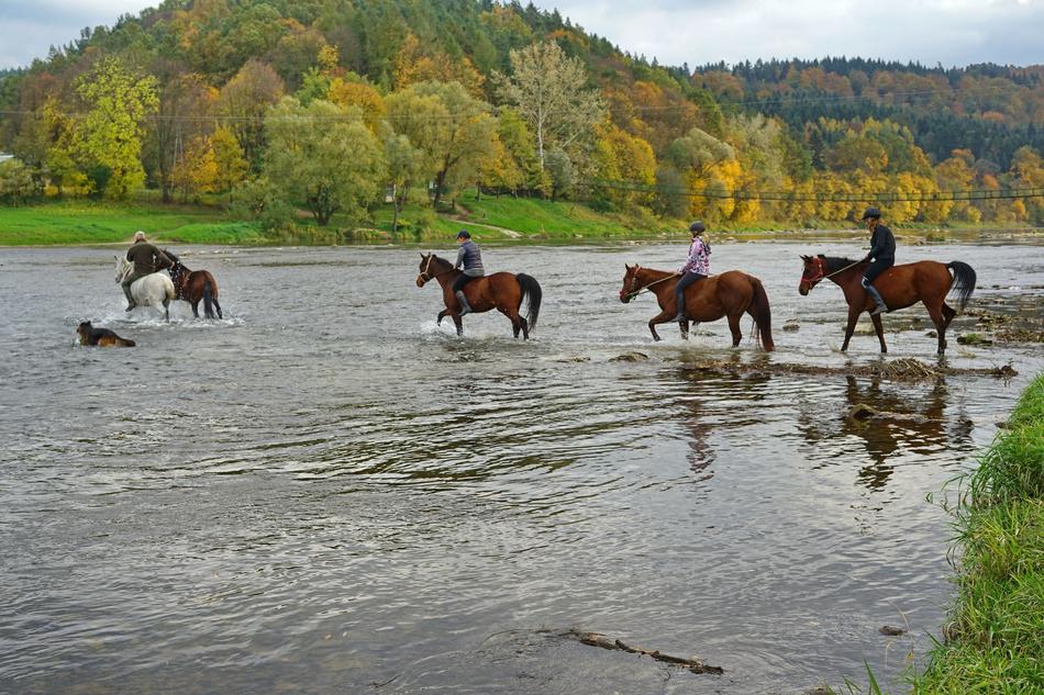 Water Nature River