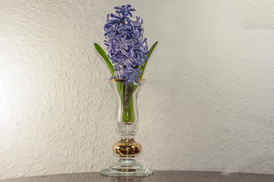 Vase Flower Still Life
