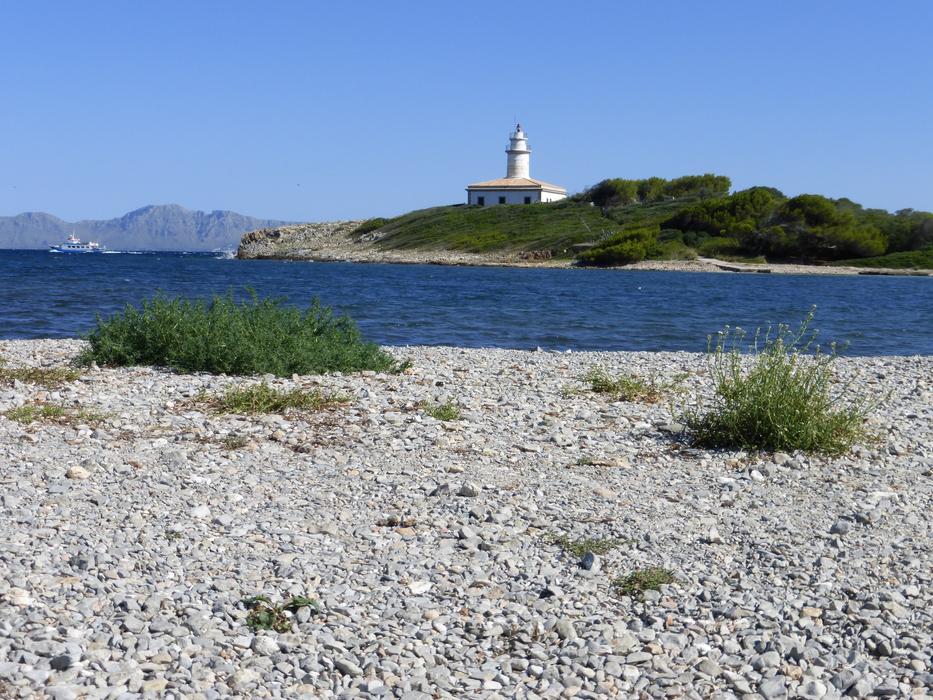 Coast Waters Sea