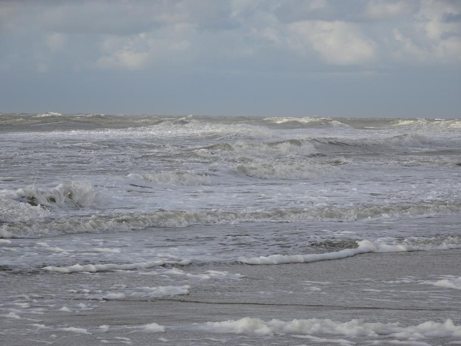 Beach Sea Water view
