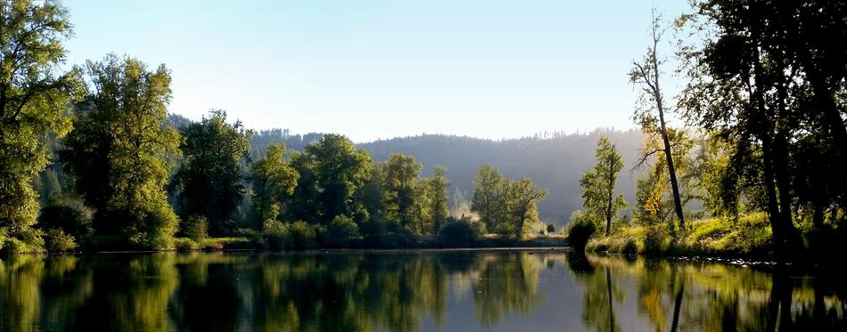 green trees with a lake in the mountains
