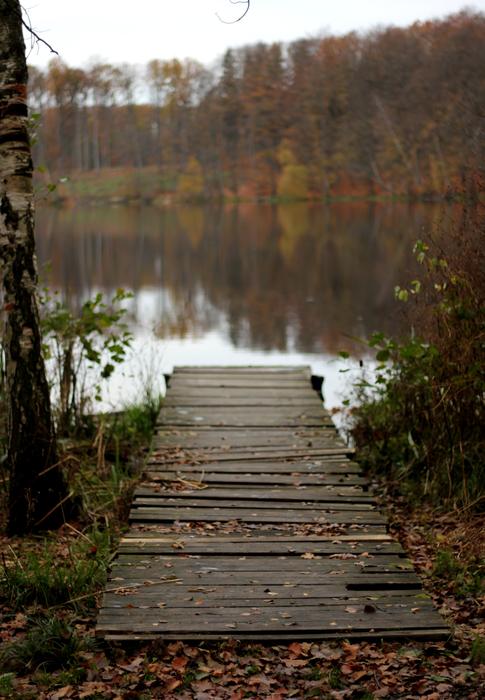 little bridge by the lake