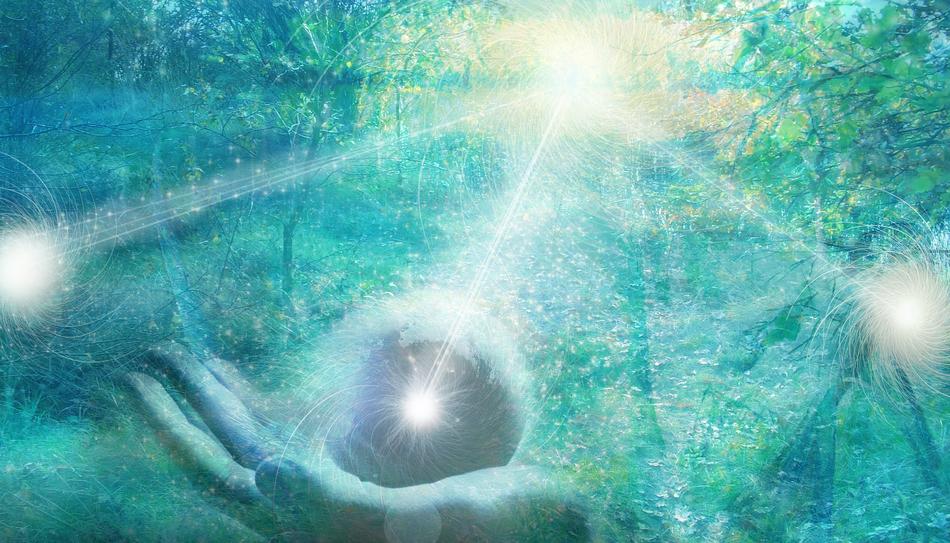 The Hand Energy Meadow