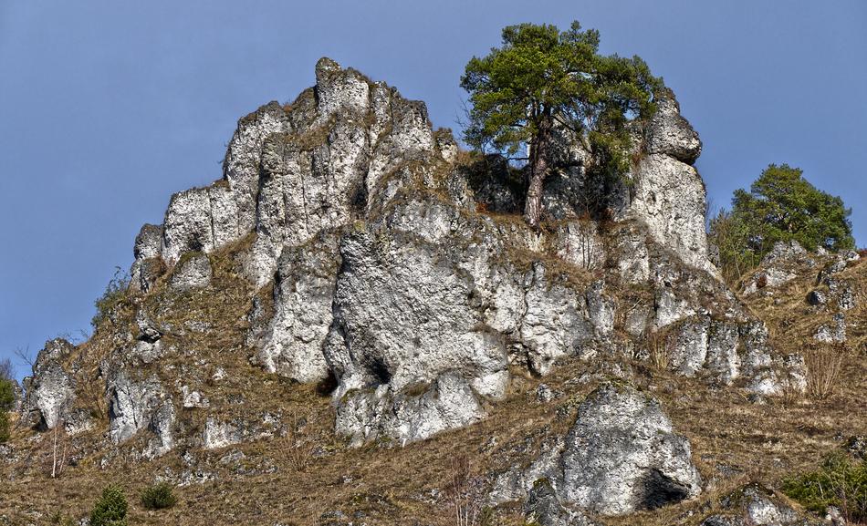 Rock Wall Steep