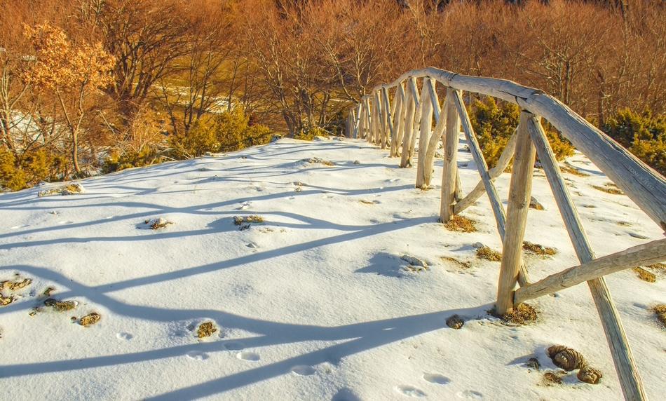 Winter Nature Snow
