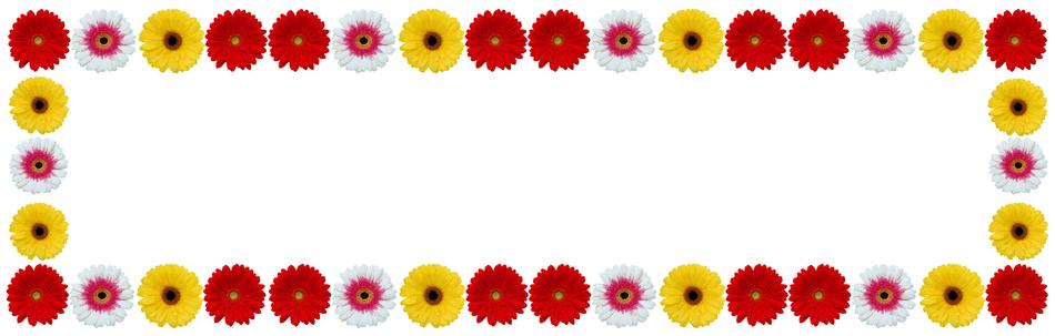 Flower Frame Gerbera Color